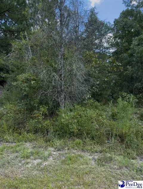 tbd Sail Club Rd, Hartsville, SC 29550