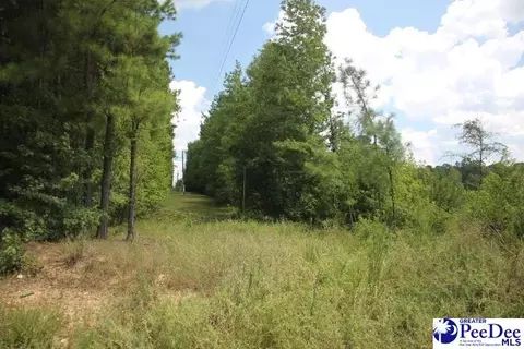 tbd 3 Sweeney Rd, Chesterfield, SC 29709