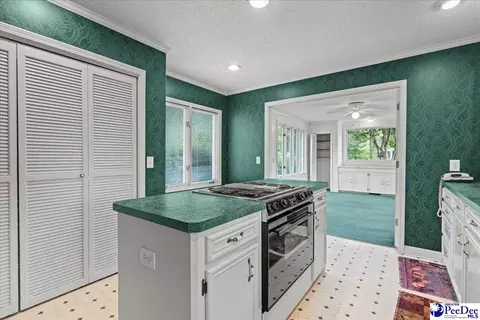 1174 Berkeley Ave, Florence, SC 29505 photo 20