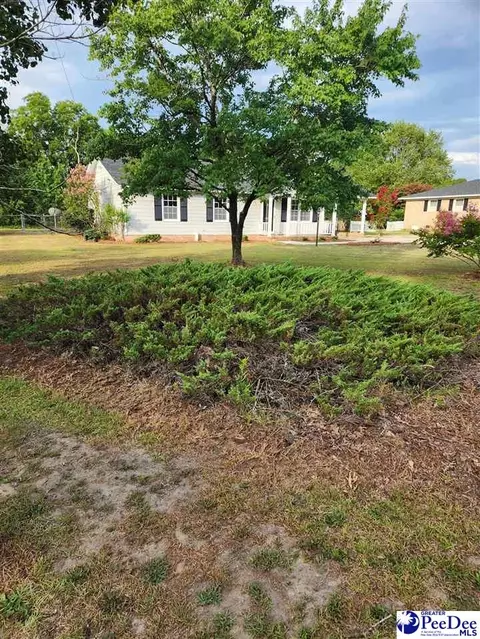 109 James Rd, Cheraw, SC 29520 photo 4
