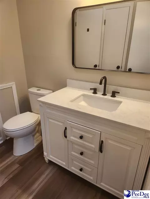 109 James Rd, Cheraw, SC 29520 photo 11