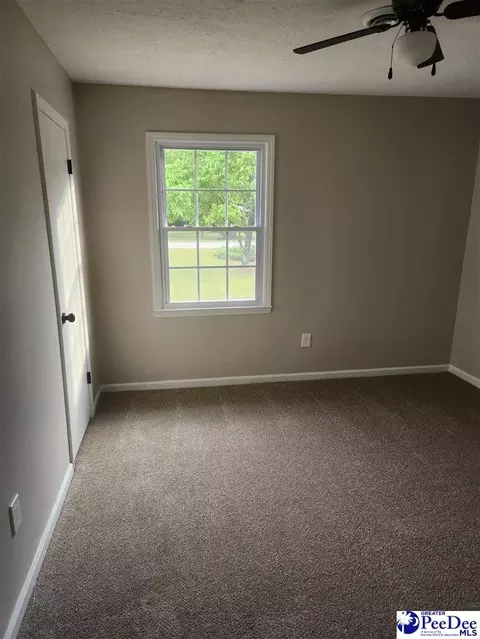 109 James Rd, Cheraw, SC 29520 photo 16