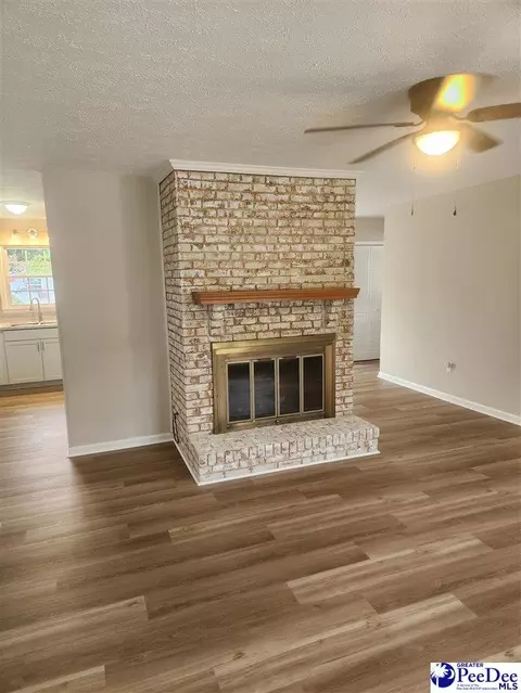 109 James Rd, Cheraw, SC 29520 photo 7
