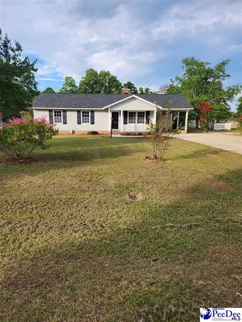 109 James Rd, Cheraw, SC 29520 photo 1