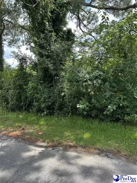 910 W Ingram St, Florence, SC 29501