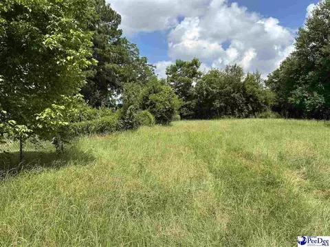 102 Holloway Cr, Florence, SC 29501