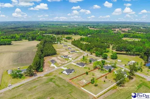 3117 Chapel Rd, Loris, SC 29569 photo 34