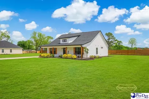 3117 Chapel Rd, Loris, SC 29569 photo 2