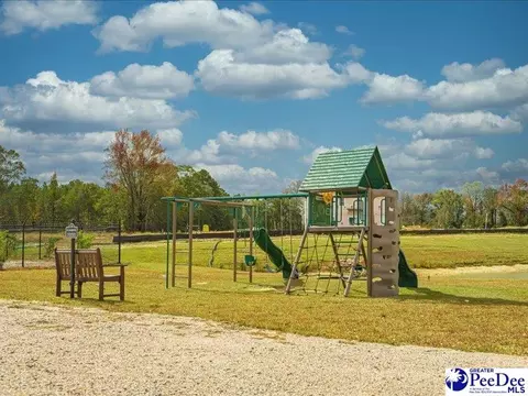 Other - 992 Abigail Ct, Florence, SC 29501 photo 20 of 20