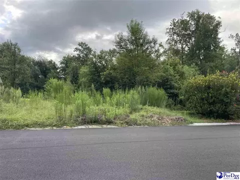 2206 Wellesly Ct, Florence, SC 29505