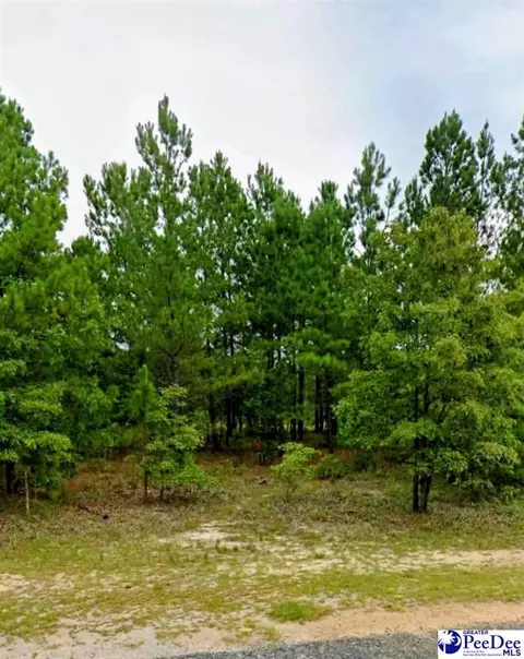 lot24 S Timberlake Ln, Hartsville, SC 29550