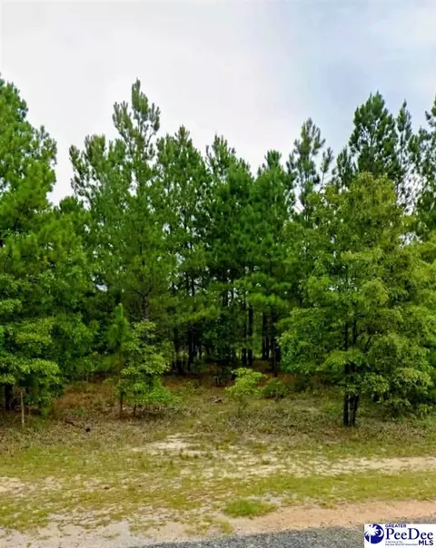 lot24 S Timberlake Ln, Hartsville, SC 29550