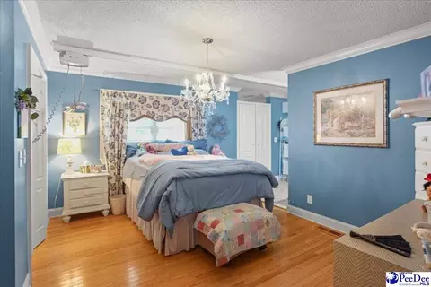 704 Edgewood Dr, Cheraw, SC 29520 photo 28