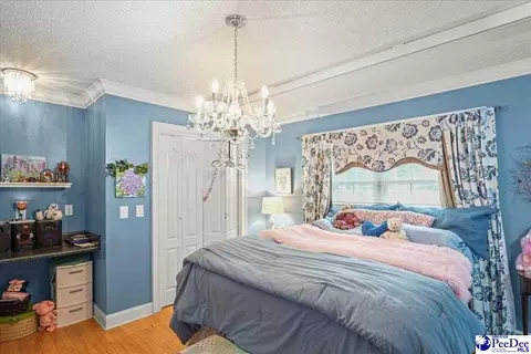 704 Edgewood Dr, Cheraw, SC 29520 photo 30