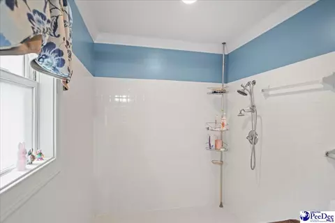 704 Edgewood Dr, Cheraw, SC 29520 photo 34