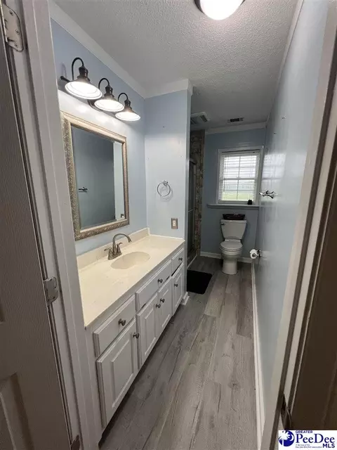 1023 Rayfield Bridge Rd, Chesterfield, SC 29709 photo 17