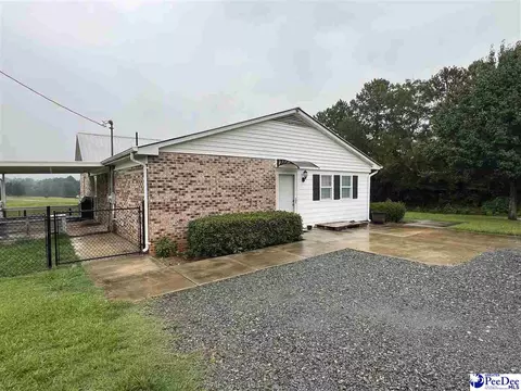 1023 Rayfield Bridge Rd, Chesterfield, SC 29709 photo 3