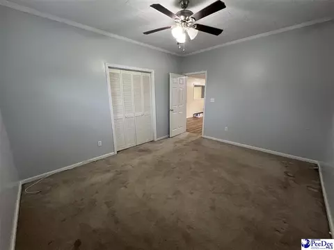 1023 Rayfield Bridge Rd, Chesterfield, SC 29709 photo 16