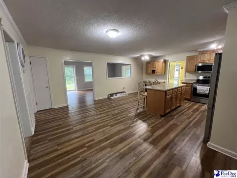 1023 Rayfield Bridge Rd, Chesterfield, SC 29709 photo 10