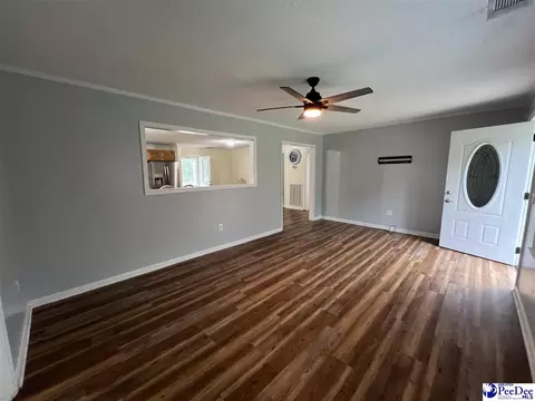 1023 Rayfield Bridge Rd, Chesterfield, SC 29709 photo 12