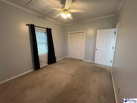 1023 Rayfield Bridge Rd, Chesterfield, SC 29709 photo 15
