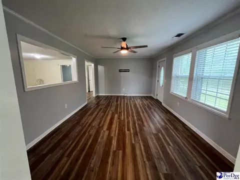 1023 Rayfield Bridge Rd, Chesterfield, SC 29709 photo 11