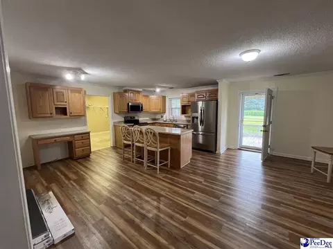1023 Rayfield Bridge Rd, Chesterfield, SC 29709 photo 9