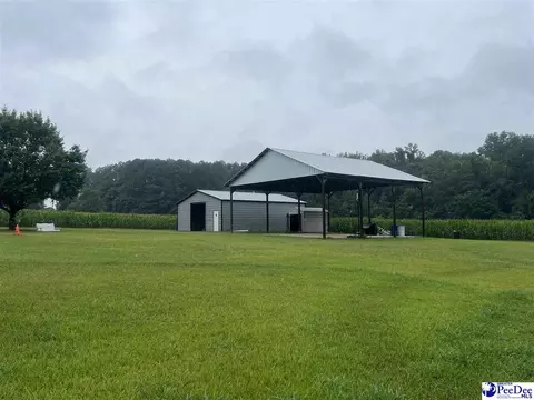 1023 Rayfield Bridge Rd, Chesterfield, SC 29709 photo 19
