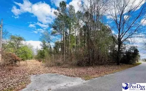 lot37 Berry Rd, Latta, SC 29565