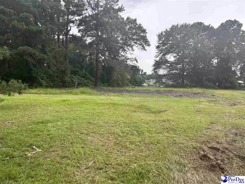 1119 Pecan Grv, Dillon, SC 29536 photo 1