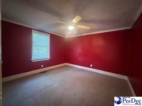 3991 Brocks Mill Rd, Cheraw, SC 29520 photo 21