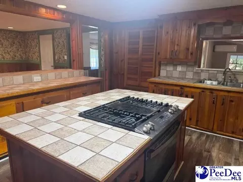 3991 Brocks Mill Rd, Cheraw, SC 29520 photo 19
