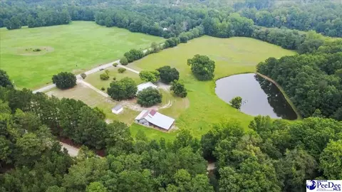 3991 Brocks Mill Rd, Cheraw, SC 29520 photo 4