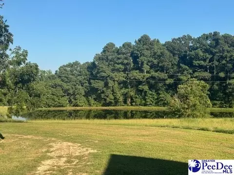 3991 Brocks Mill Rd, Cheraw, SC 29520 photo 42