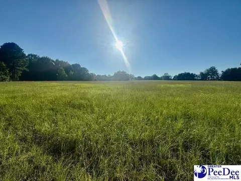 3991 Brocks Mill Rd, Cheraw, SC 29520 photo 28