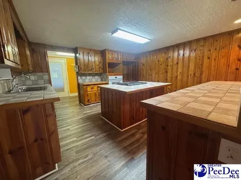 3991 Brocks Mill Rd, Cheraw, SC 29520 photo 17
