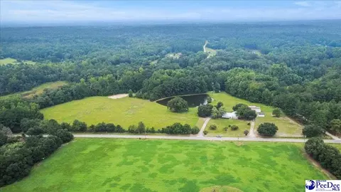 3991 Brocks Mill Rd, Cheraw, SC 29520 photo 47