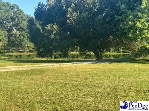 3991 Brocks Mill Rd, Cheraw, SC 29520 photo 29