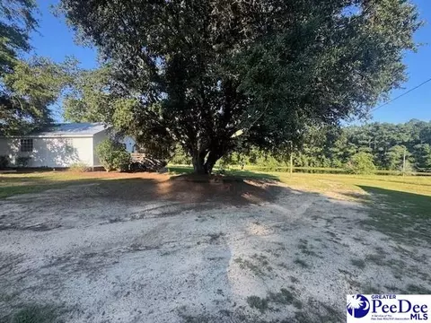 3991 Brocks Mill Rd, Cheraw, SC 29520 photo 30