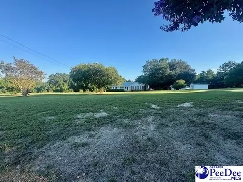 3991 Brocks Mill Rd, Cheraw, SC 29520 photo 43