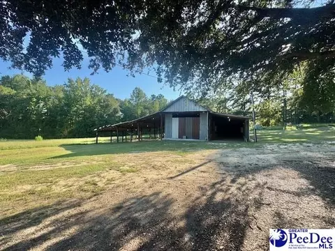 3991 Brocks Mill Rd, Cheraw, SC 29520 photo 31