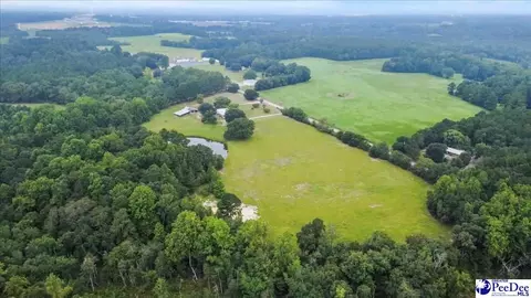 3991 Brocks Mill Rd, Cheraw, SC 29520 photo 45