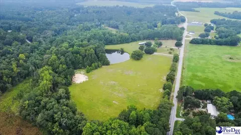 3991 Brocks Mill Rd, Cheraw, SC 29520 photo 46