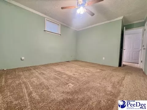3991 Brocks Mill Rd, Cheraw, SC 29520 photo 25