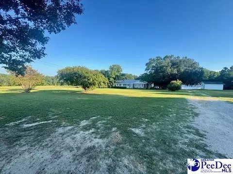3991 Brocks Mill Rd, Cheraw, SC 29520 photo 7