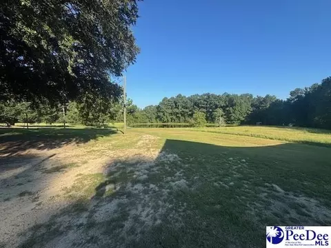 3991 Brocks Mill Rd, Cheraw, SC 29520 photo 41