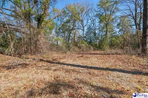3090 Cobblestone St, Florence, SC 29506 photo 1