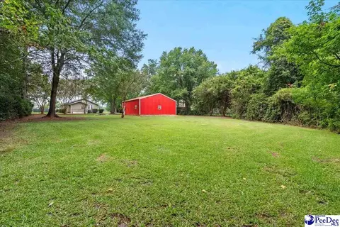 226 S Wallace Rd, Florence, SC 29506 photo 29