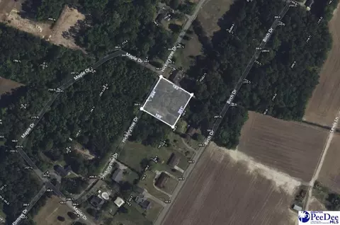 tbd Hickorytree Dr, Hartsville, SC 29550