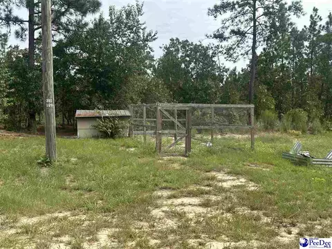 52 Scott Pond Rd, Hartsville, SC 29550 photo 21